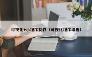 温岭可视化+小程序制作（可视化程序编程）